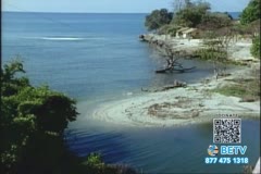 TV Content Image
